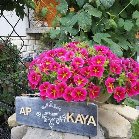 Apartment Kaya Mojstrana Exterior photo